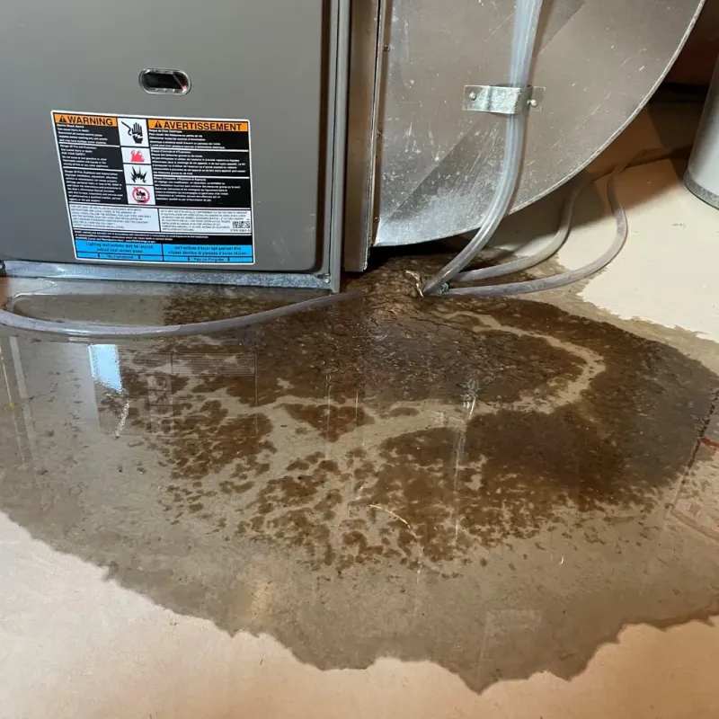 Appliance Leak Cleanup in Captain Cook, HI
