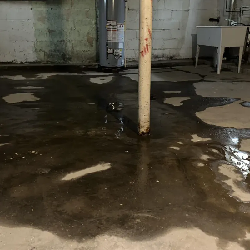 Emergency Water Extraction And Removal in Captain Cook, HI